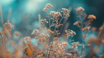 das Natur von stumm geschaltet Farben Ton foto