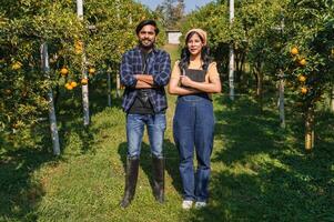 Mann und ein Frau Stand im ein Feld von Orangen foto