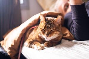 Teenager Junge Reisen mit ein Katze im das Schlaf Wagen von Passagier Zug. foto