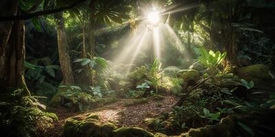 tropisch Regen Urwald tief Wald mit beab Strahl Licht leuchtenden. Natur draussen Abenteuer Stimmung Szene Hintergrund Aussicht foto