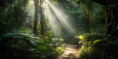 tropisch Regen Urwald tief Wald mit beab Strahl Licht leuchtenden. Natur draussen Abenteuer Stimmung Szene Hintergrund Aussicht foto