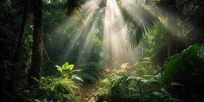 tropisch Regen Urwald tief Wald mit beab Strahl Licht leuchtenden. Natur draussen Abenteuer Stimmung Szene Hintergrund Aussicht foto