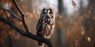 Eule Vogel Sitzung auf ein banch Baum. wil Leben Natur draussen Wald Hintergrund Landschaft Szene foto