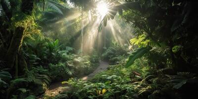 tropisch Regen Urwald tief Wald mit beab Strahl Licht leuchtenden. Natur draussen Abenteuer Stimmung Szene Hintergrund Aussicht foto