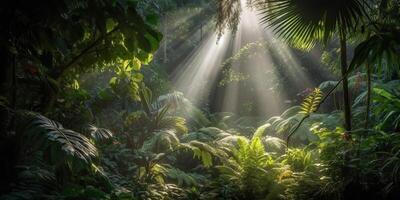 tropisch Regen Urwald tief Wald mit beab Strahl Licht leuchtenden. Natur draussen Abenteuer Stimmung Szene Hintergrund Aussicht foto