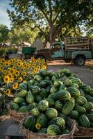 Sommer- Ernte reif Melonen im Körbe, Jahrgang LKW, und Sonnenblume Felder beim Obst Stand foto
