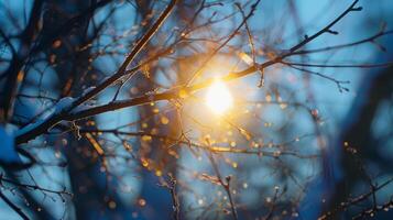 ein Bild von das Sonne leuchtenden durch Baum Geäst ein Erinnerung von das Abwesenheit von natürlich Licht während Winter. foto