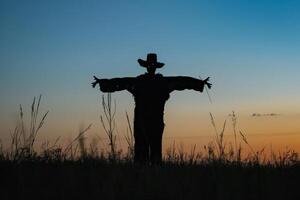 Silhouette von ein Vogelscheuche im ein unfruchtbar Feld beim Dämmerung, Nachwirkungen von ein Hitzewelle, unheimlich Ruhe foto