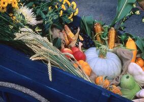 ein Blau Wagen gefüllt mit verschiedene Früchte und Gemüse foto