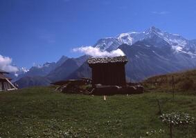 ein klein Hütte im das Mitte von ein Feld foto