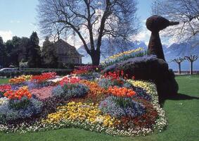 ein Blume Garten mit ein Statue von ein Ente foto