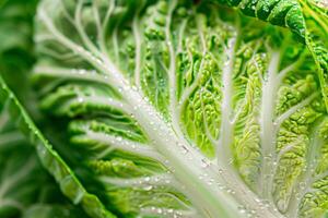 schließen oben von frisch Grün Kohl Blätter mit Tau Tropfen, perfekt zum Konzepte mögen gesund Essen, organisch Gartenarbeit, und Vegetarier Lebensstil foto