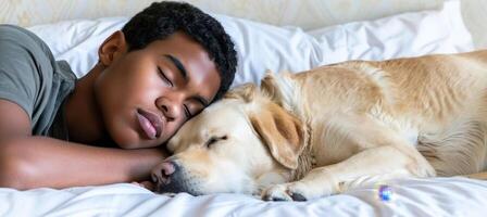 jung Mann und Hund friedlich Schlafen zusammen auf ein Weiß Bett im ein gemütlich Zuhause Rahmen foto