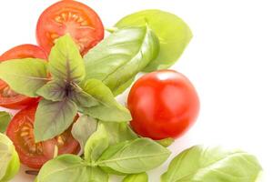 Tomaten mit Basilikum auf Weiß Hintergrund foto