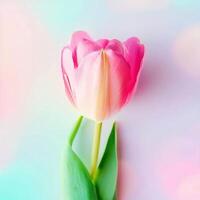 bunt Blumen und schön Blumen- Banner Bild zum Mutter Tag, Damen Tag, Blume Blüte, romantisch, Hochzeit und Valentinstag Tag foto