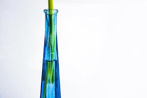 Nahansicht von schön modern Blume Vase isoliert auf Weiß Hintergrund mit Grün Blume Stängel im das Wasser. abgeschnitten Detail von königlich Blau Glas Flasche mit eng Engpass. modern Design. Kopieren Raum foto