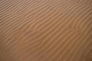 nahtlos nass Sand mit Meer Wasser auf ein ganze Hintergrund. leeren wellig sandig Meer Unterseite. exotisch sandig Ozean Strand Oberfläche. oben Sicht. einfach, minimalistisch Foto. Ideal Konzept zum Banner, Poster, Anzeigen. foto