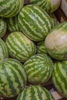 Wassermelonen im das hölzern Container auf Supermarkt Regal. Wassermelone auf Straße Markt. Sommer- Früchte zum gesund Diät. frisch organisch Wasser Melone Obst zum Verkauf im Lebensmittelgeschäft speichern. selektiv Fokus foto