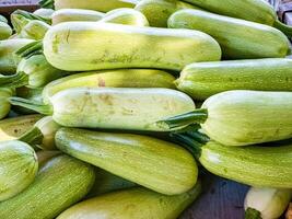 Zucchini. frisch organisch Gemüse. Nahansicht. gesund Essen Konzept foto