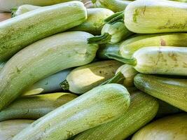 Zucchini. frisch organisch Gemüse. Nahansicht. gesund Essen Konzept foto