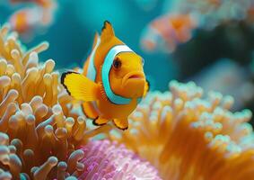 ein bunt Clownfisch mit Orange Streifen und ein Weiß Körper schwimmt Nächster zu ein beschwingt Meer Anemone mit Rosa Tentakeln generiert durch ai. foto