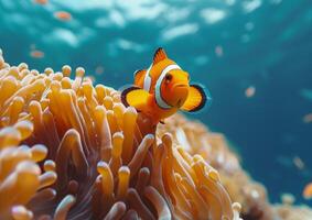 ein bunt Clownfisch mit Orange Streifen und ein Weiß Körper schwimmt Nächster zu ein beschwingt Meer Anemone mit Rosa Tentakeln generiert durch ai. foto