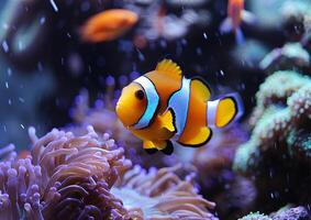 ein bunt Clownfisch mit Orange Streifen und ein Weiß Körper schwimmt Nächster zu ein beschwingt Meer Anemone mit Rosa Tentakeln generiert durch ai. foto