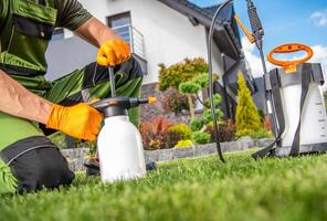 zurück Hof Garten Insektizid Job foto