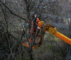 dnepr, Ukraine - - 20.03.2024 kommunale Bedienung Arbeitskräfte Stand mit ein Kettensäge im ein Kran Korb und trimmen gefährlich Bäume. foto