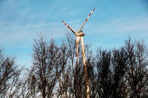 Österreich, Straße zu Wien von Bratislava - - 14.01.2024 Wind Bauernhof Park Nächster zu ein Straße im Österreich im sonnig Wetter foto