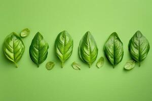 Basilikum Blätter vereinbart worden im ein ordentlich Reihe auf ein Gradient Grün Hintergrund, minimalistisch und bunt foto