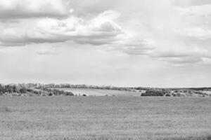 schöne horizontlandschaft in der dorfwiese auf natürlichem farbhintergrund foto