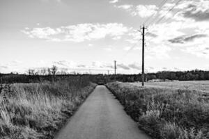 schöne leere Asphaltstraße in der Landschaft auf farbigem Hintergrund foto