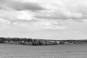 schöne horizontlandschaft in der dorfwiese auf natürlichem farbhintergrund foto