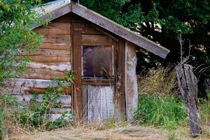 ziemlich selbst gebaut hölzern Kabine im ein bewaldet Garten foto