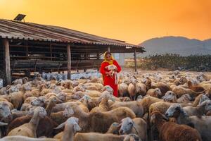 Vietnamesisch Frau mit Lamm auf ein Landschaft, ein Schaf Bauernhof im das Steppe Zone im neunh Thuan Provinz, Vietnam. foto