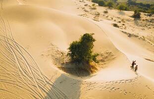 Antenne Aussicht von ein Bauer Frau trägt ein Bambus Rahmen auf das Schulter über Sand Dünen im neunh Thuan Provinz, Vietnam. es ist einer von das die meisten schön setzt im Vietnam foto