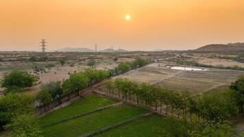 ländlich Landschaft von Phan klingelte während sonnig Tag im neunh Thuan Provinz, Vietnam. Dort sind ein Menge von Schaf angehoben Hier. foto