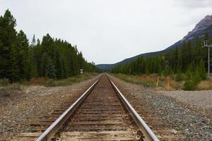 Zug Spuren Kreuzung das felsig Berge von Kanada foto