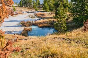 ein heiß Frühling umgeben durch fallen Farben im Yellowstone National Park während das Morgen Std foto