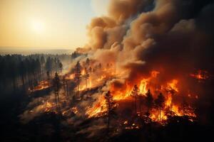 groß Wald Feuer. stark Feuer mit Rauch foto