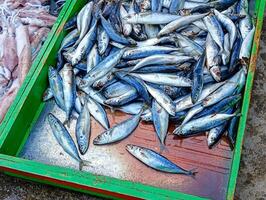 Der Umsatz von pindang Fisch, Tintenfisch und Garnele foto