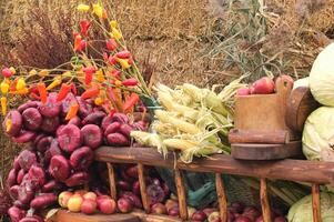 frisch organisch Gemüse auf Farmer Markt. lokal Bauernhof Basar. Sortiment von frisch organisch Ernte Garten produzieren. bio Produkte, bio Ökologie. natürlich gesund Essen Festival. landwirtschaftlich rustikal Messe foto