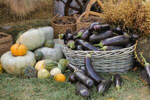 frisch organisch Gemüse auf Farmer Markt. lokal Bauernhof Basar. Sortiment von frisch organisch Ernte Garten produzieren. bio Produkte, bio Ökologie. natürlich gesund Essen Festival. landwirtschaftlich rustikal Messe foto