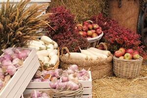 frisch organisch Gemüse auf Farmer Markt. lokal Bauernhof Basar. Sortiment von frisch organisch Ernte Garten produzieren. bio Produkte, bio Ökologie. natürlich gesund Essen Festival. landwirtschaftlich rustikal Messe foto