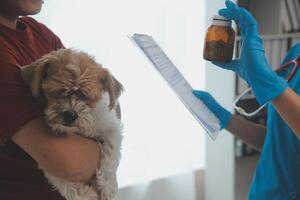 Nahansicht Schuss von Tierarzt Hände Überprüfung Hund durch Stethoskop im Tierarzt Klinik foto