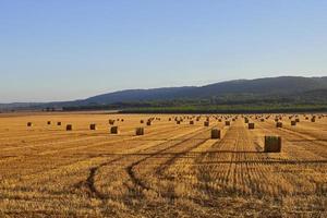Strohballen in einem Getreidefeld am frühen Morgen, Almansa, Spanien foto