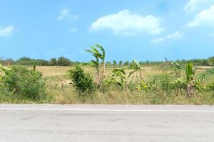 horizontal Aussicht von leeren Asphalt Straße im Thailand. Hintergrund von Banane Bäume neben Straße. und Einstellung von landwirtschaftlich Plantagen Umgebung Bereich . unter Blau Himmel. foto