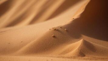 ein schließen oben von ein Sand Düne von das Wüste foto