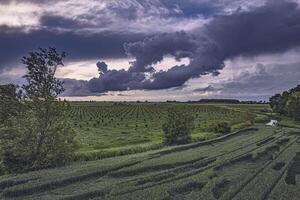 stürmisch Wolken Über üppig Felder im Nord Italien foto